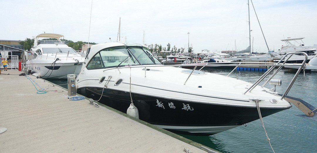 Searay305运动艇